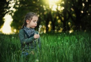 dandelion prayer