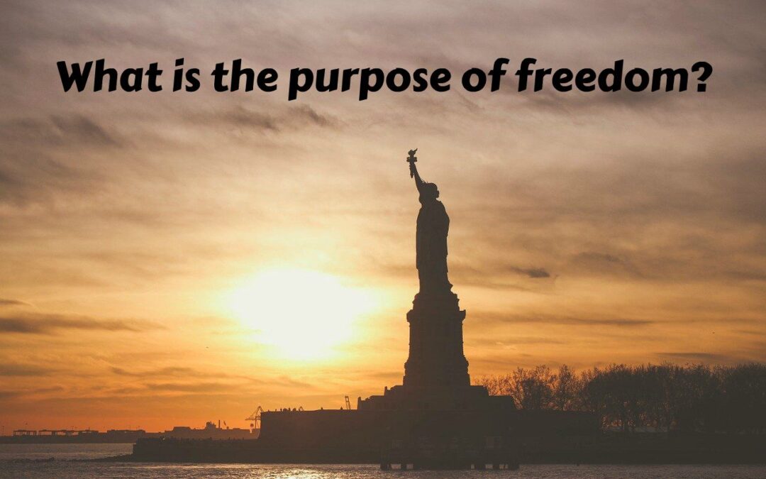 What’s the Purpose of Freedom?