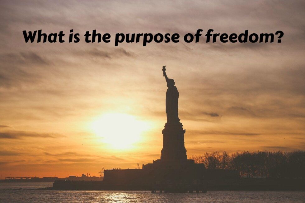 what-s-the-purpose-of-freedom-ava-pennington