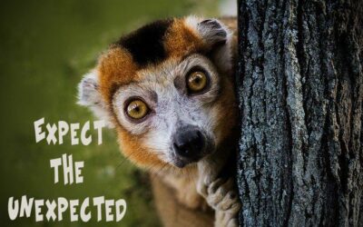 Expect the Unknown
