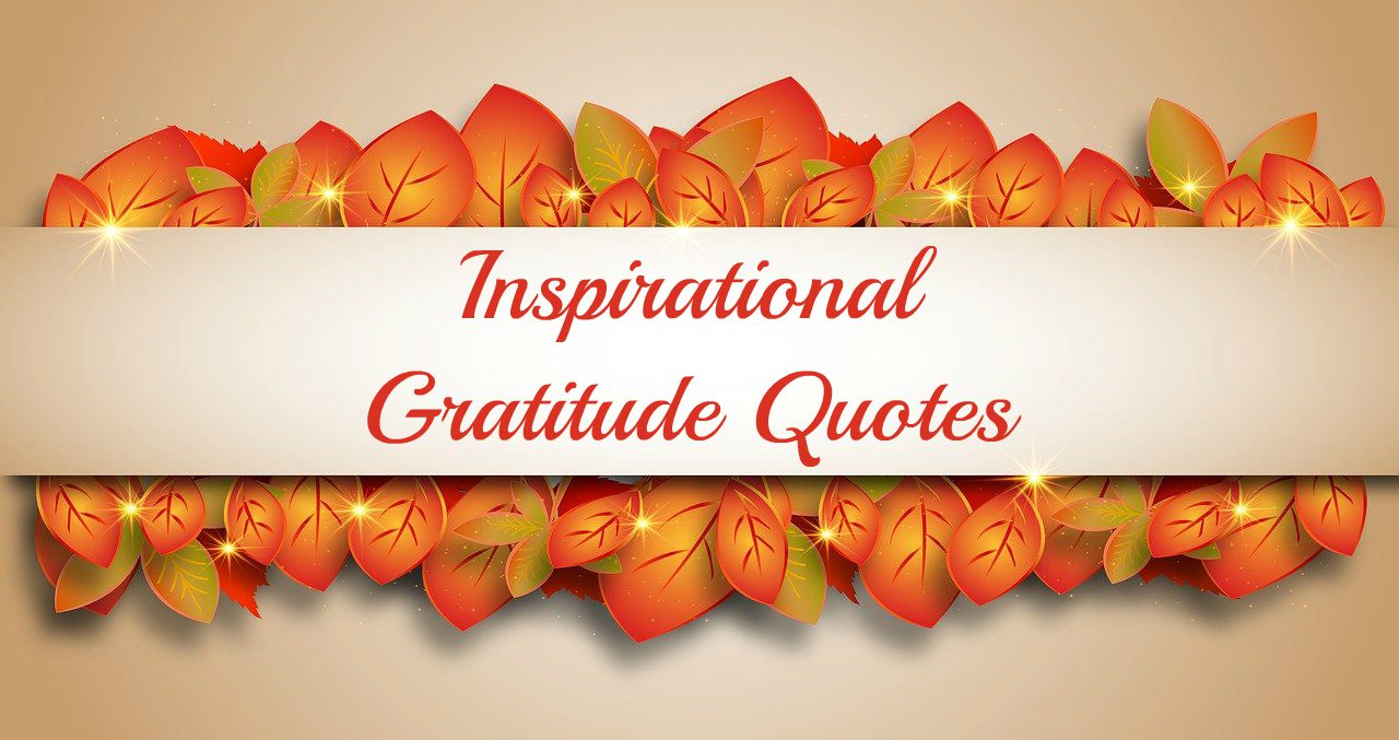 Inspirational Gratitude Quotes