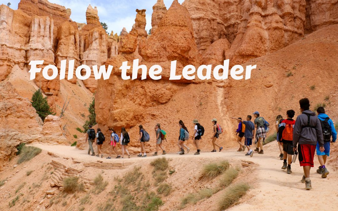 Chosen Reflections: Follow the Leader