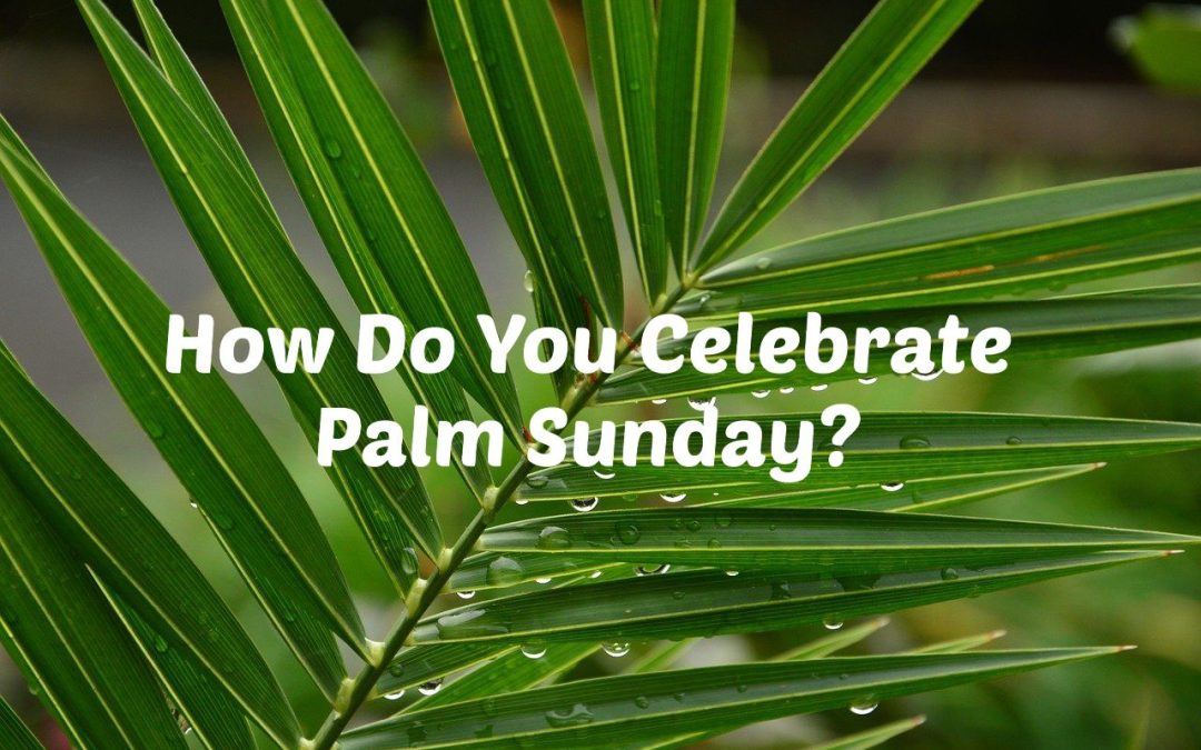How Do You Celebrate Palm Sunday?