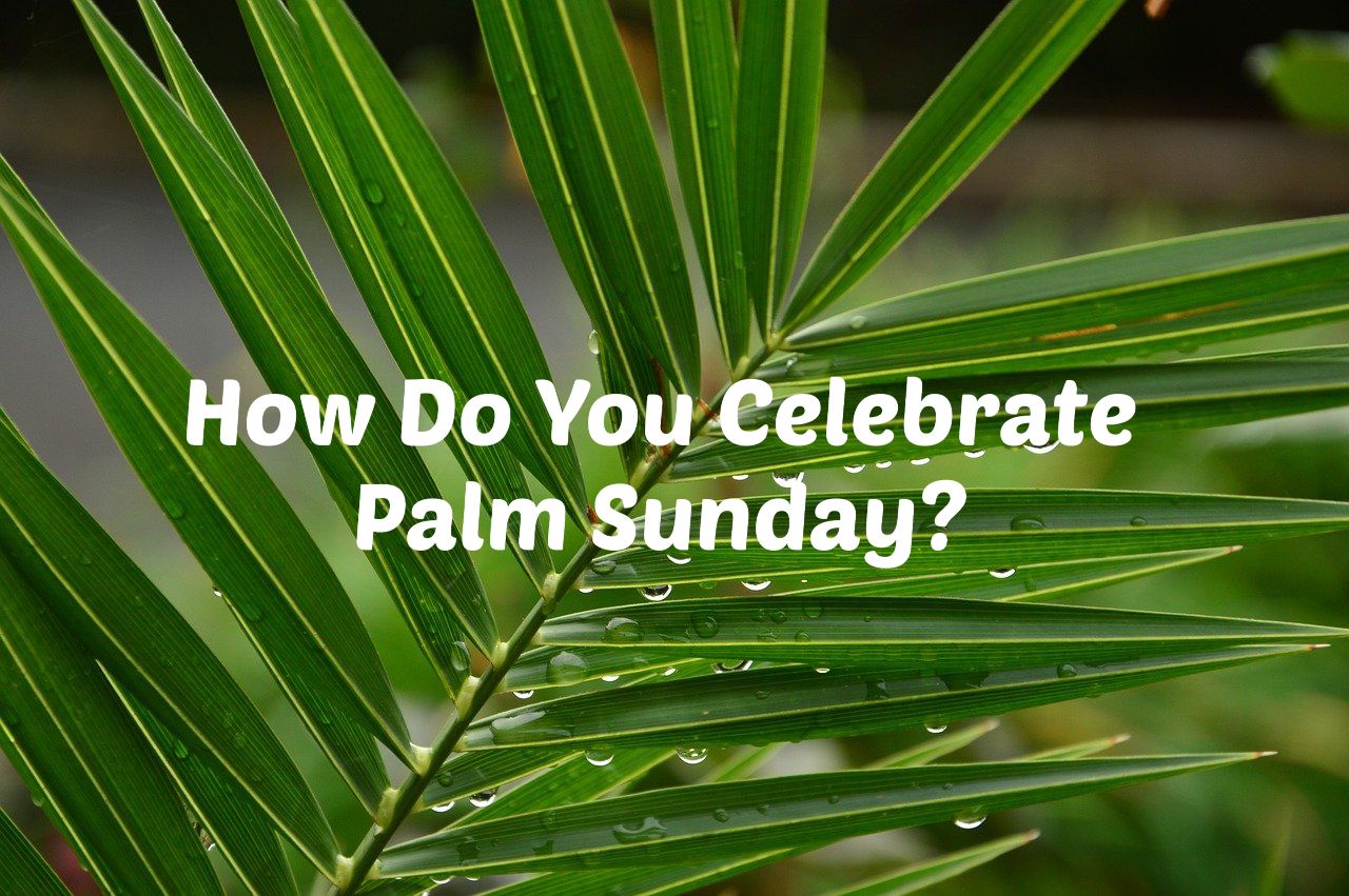 Celebrate Palm Sunday