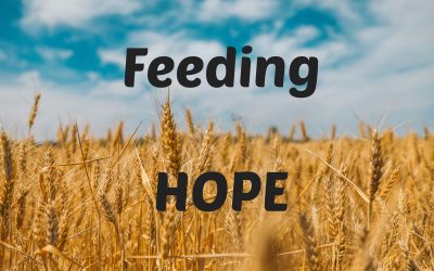 Feeding Hope