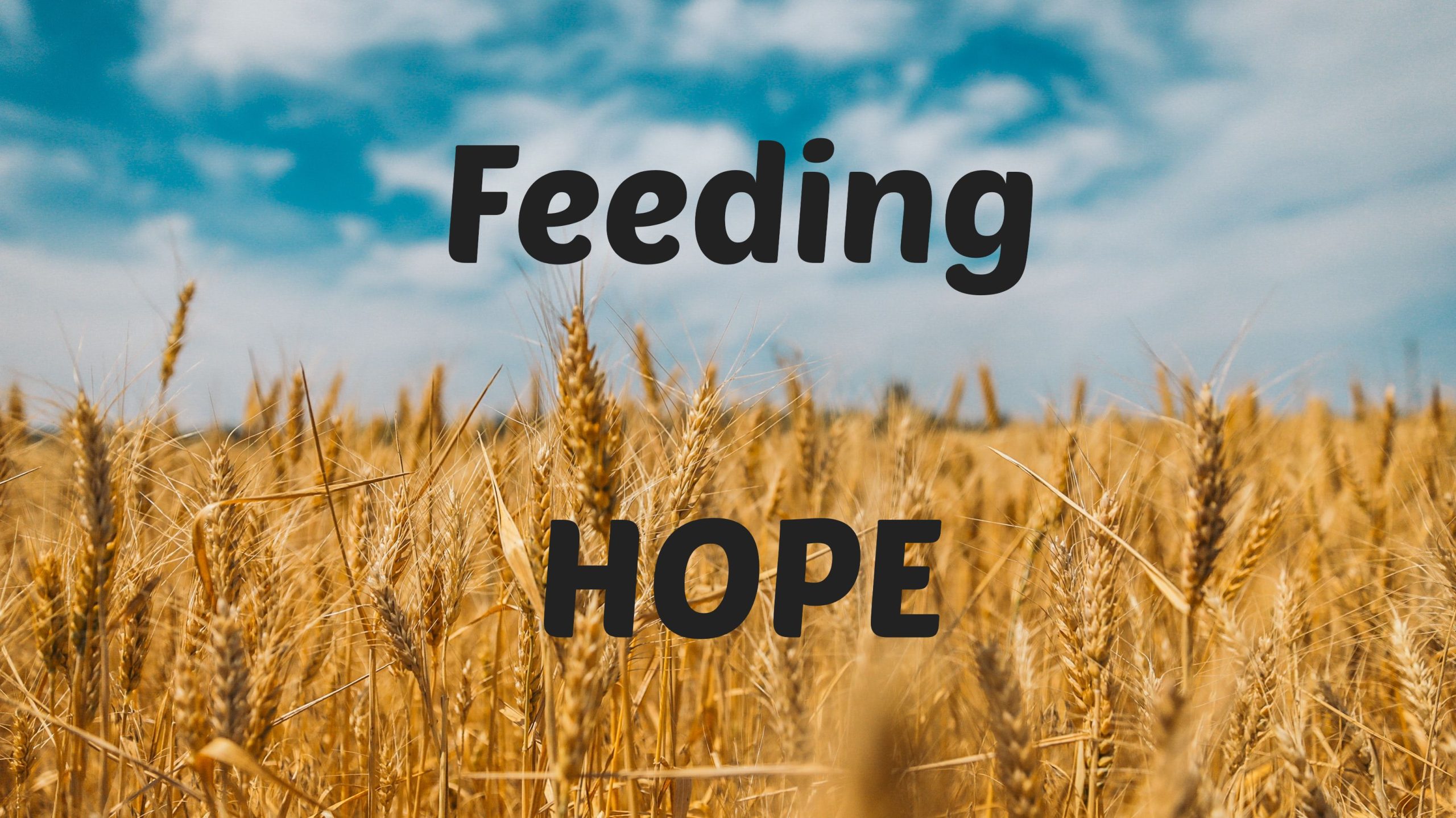 Feeding Hope