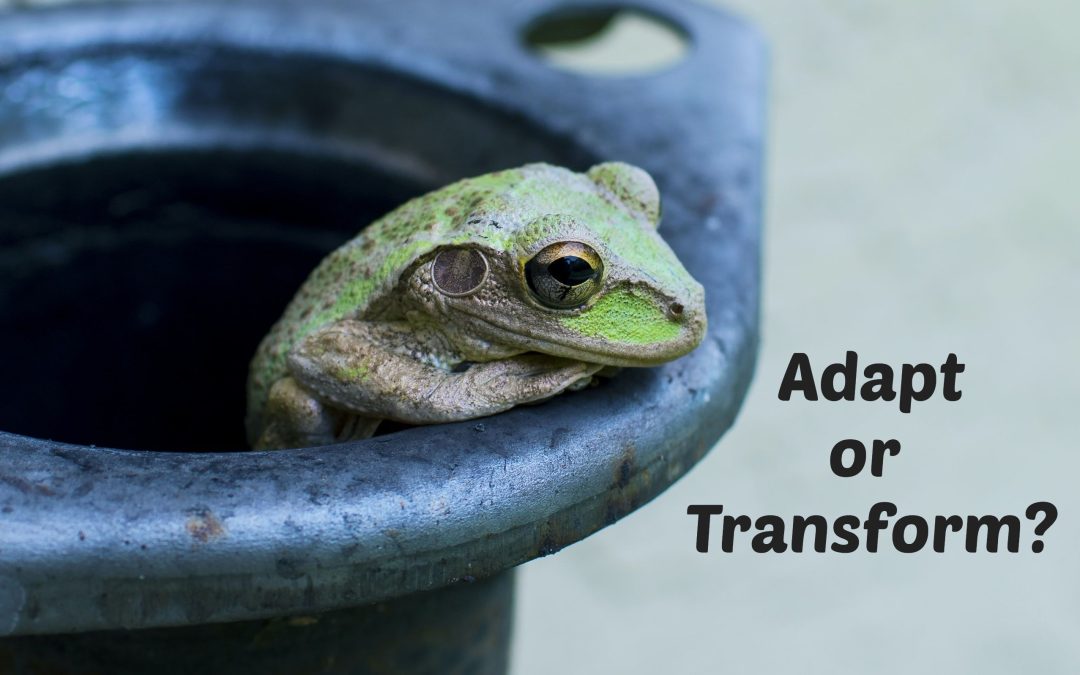 Adapt or Transform?