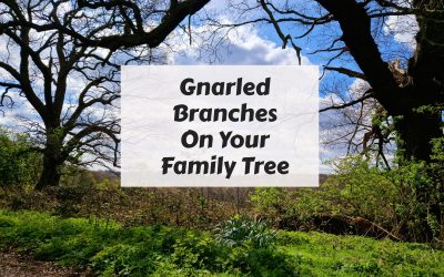 Gnarled Branches on Your Family Tree