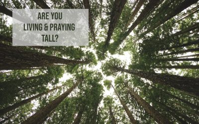 Are You Praying and Living TALL?