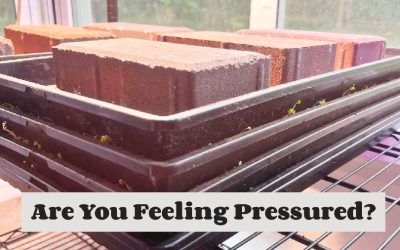 Are You Feeling Pressured?