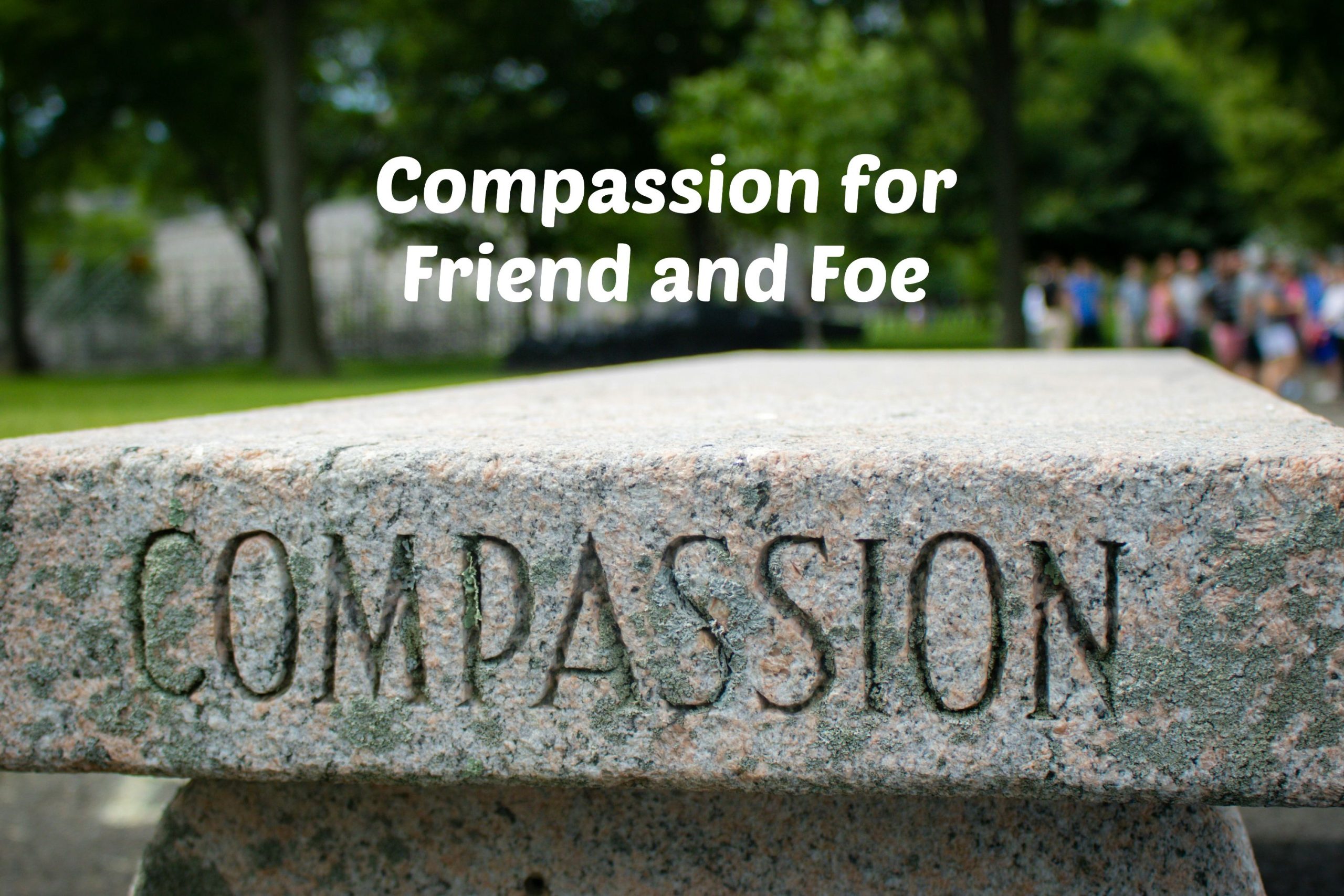 Compassion for Friend and Foe