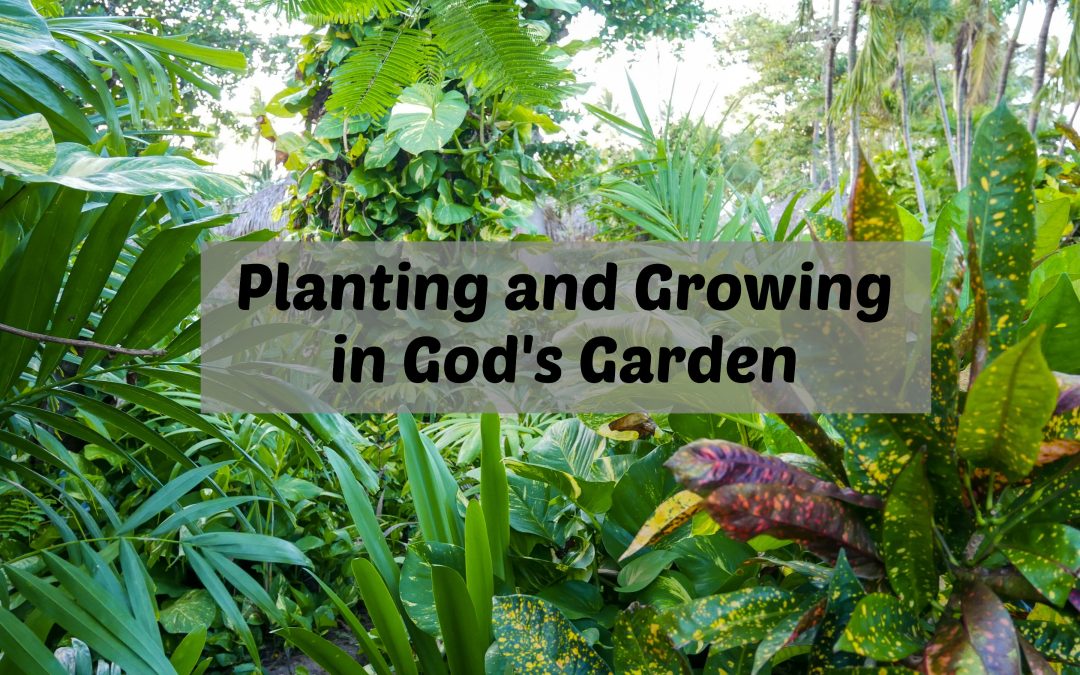 Planting and Growing in God’s Garden