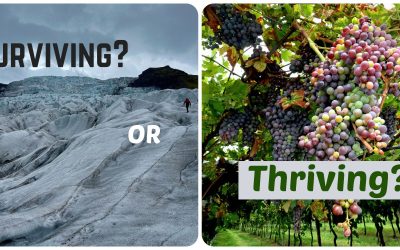 Are You Surviving or Thriving?