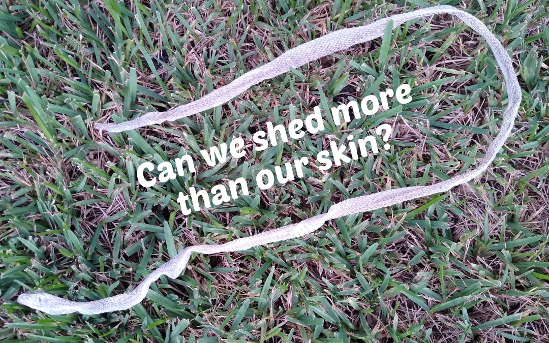 Can We Shed More Than Our Skin?
