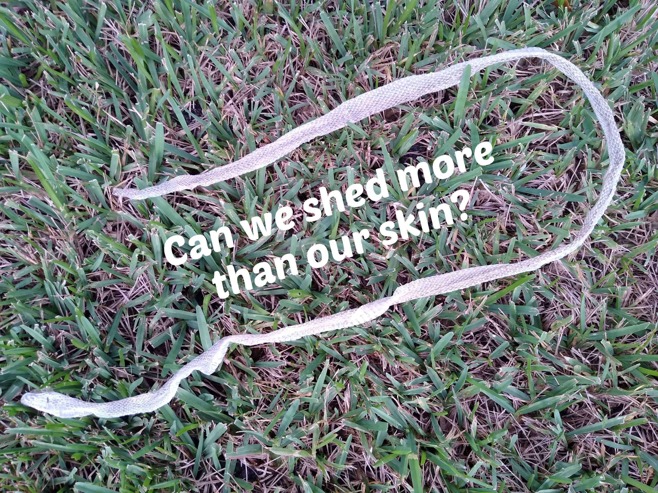 Can we shed more than our skin?