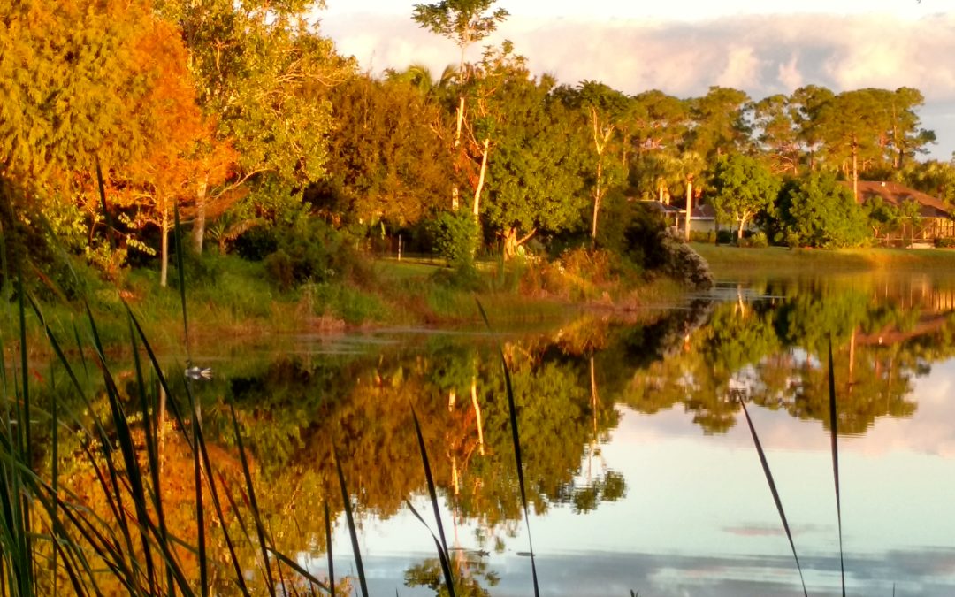 It’s Not Always What You Think