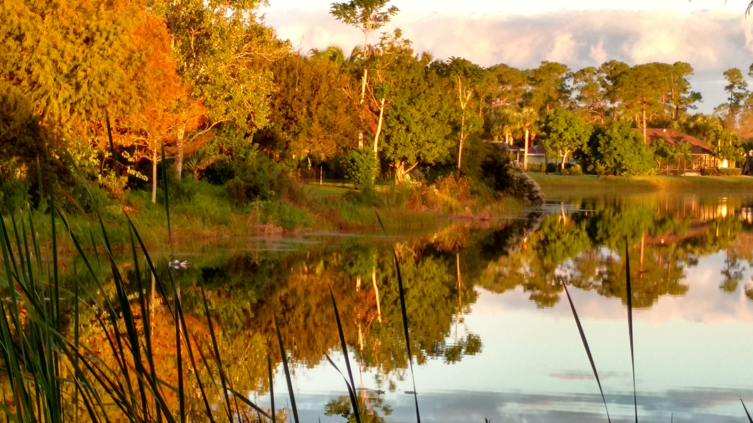 Autumn may not be what you think Autumn may not be what you think