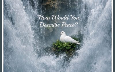 How Would You Describe Peace?