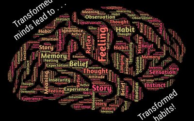 What Habits Are You Locked Into?