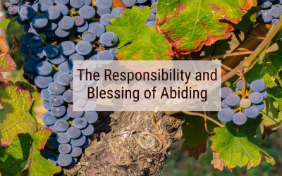 The Power, Responsibility, and Blessing of Abiding