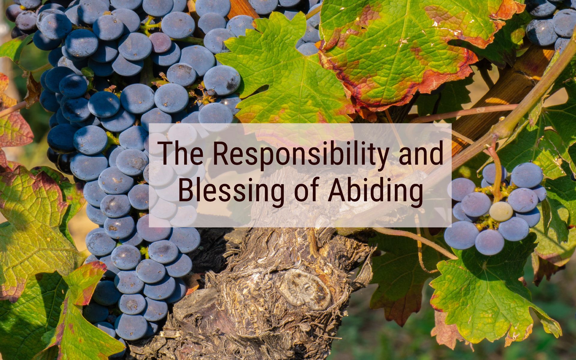 Abiding